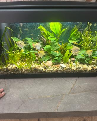 Acquario MTB italiano