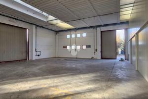 CAPANNONE A SUSEGANA