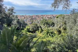 Terreno di 6000 m² a Bordighera