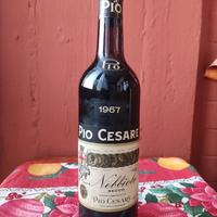 Pio Cesare Nebbiolo Alba 