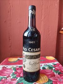 Pio Cesare Nebbiolo Alba 