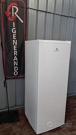 CONGELATORI  VERTICALE  NUOVI  SC