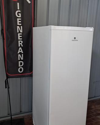 CONGELATORI  VERTICALE  NUOVI  SC