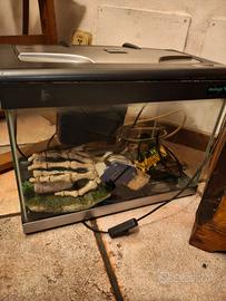 acquario piccolo