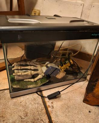 acquario piccolo