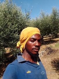 Lavoro come giardiniere