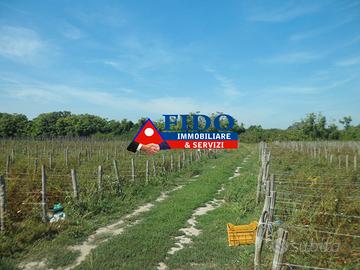 Terreno agricolo di 24.300 mq fronte strada