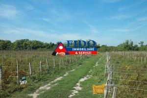 Terreno agricolo di 24.300 mq fronte strada