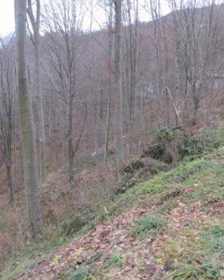 Immobile in asta di 97986 m² a Costa Valle Imagna