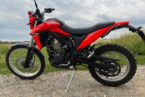 Beta alp4.0