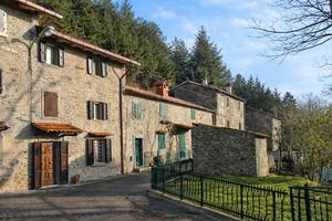 Casa in pietra con giardino e bosco privato