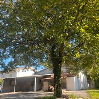 Abitazione a cassino zona fontana rosa