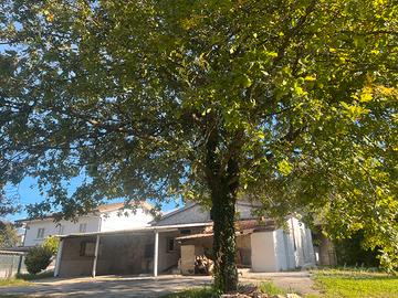 Abitazione a cassino zona fontana rosa