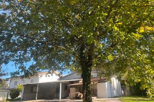 Abitazione a cassino zona fontana rosa