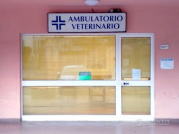 Locale commerciale 60 mq