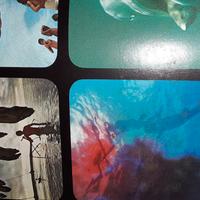 libro Oceano di Folco Quilici