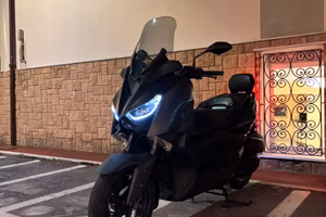 X Max 300