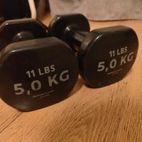 pesi da 5 kg