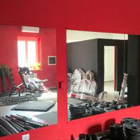 Specchi Professionali per Palestra/Danza