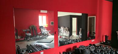 Specchi Professionali per Palestra/Danza