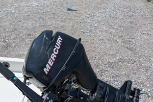 Motore Mercury 10cv