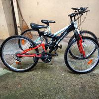 2 mountain bike