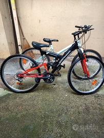 2 mountain bike