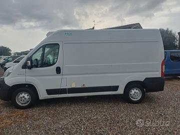 FIAT DUCATO FRIGO FRCX 2020