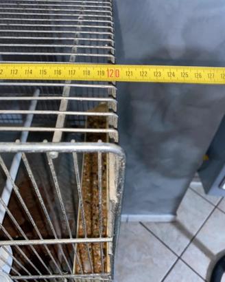 Gabbia per uccelli
