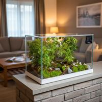 terrarium by Sterrarium 🦋 