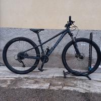 Mountain bike