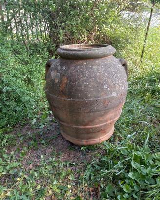 Antico orcio toscano F. D. G. Malavolti