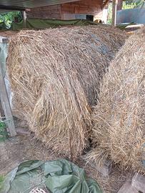 balloni fieno