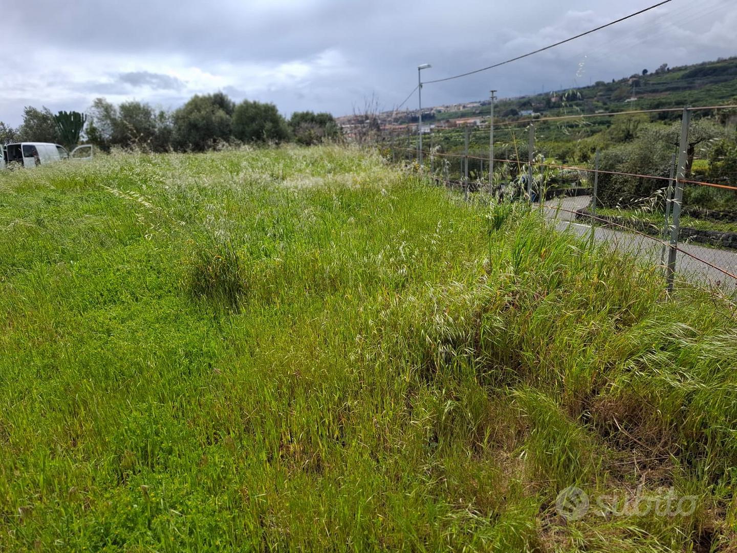 Terreno agricolo - Vista 2