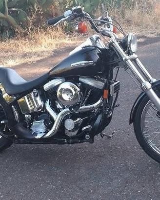 Harley Davidson softail custom