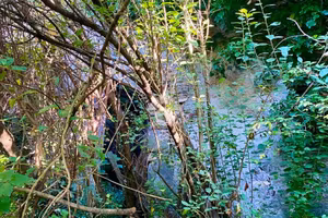 RUSTICO A SANT'OLCESE
