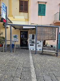 ATTIVITÀ A USTICA