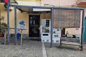ATTIVITÀ A USTICA