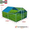 recinto-per-polli-3x4m-x-h-2-m-12mq-azzurro