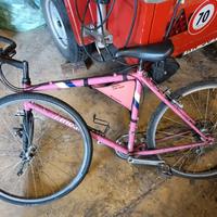 bici moser