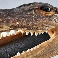 oggetto da collezione 