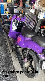 Smembro scarabeo minarelli orizzontale