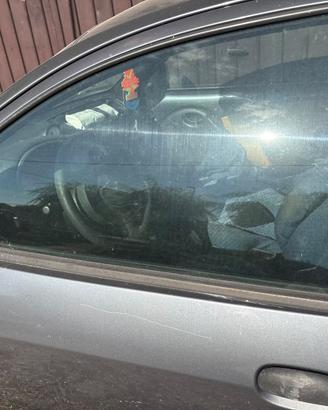 porta lato guida ford ka