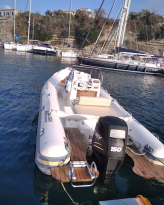 Coaster 650 Mercury verado 150