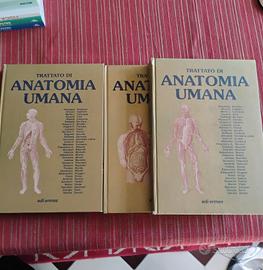Trattato Anatomia Umana Edi-Ermes 3 volumi