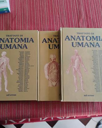 Trattato Anatomia Umana Edi-Ermes 3 volumi