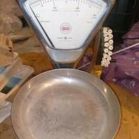 Bilancia Vintage ARSA V32 Varese - Design Industri