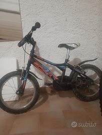 bicicletta 