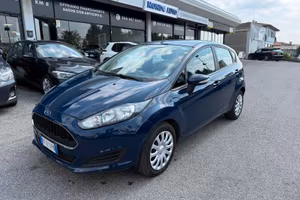 Ford Fiesta 1.4 5 porte Bz.- GPL Business