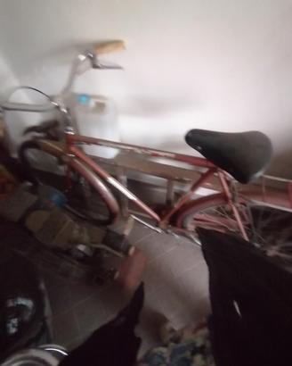 bici  atala  vintage 